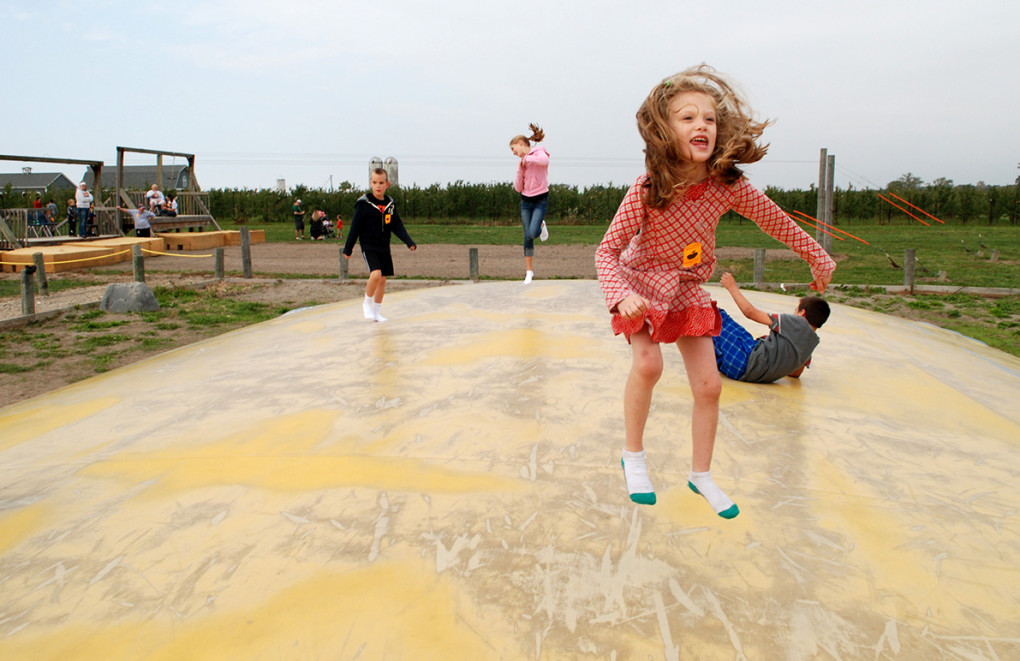 The Orchard and Company: Come for apples, stay for fall festival