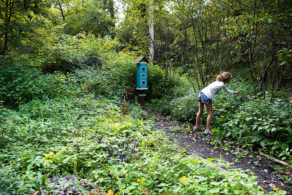 Little Free Library: Give and take through worldwide, book-sharing program