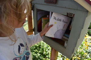 Little Free Library: Give and take through worldwide, book-sharing program