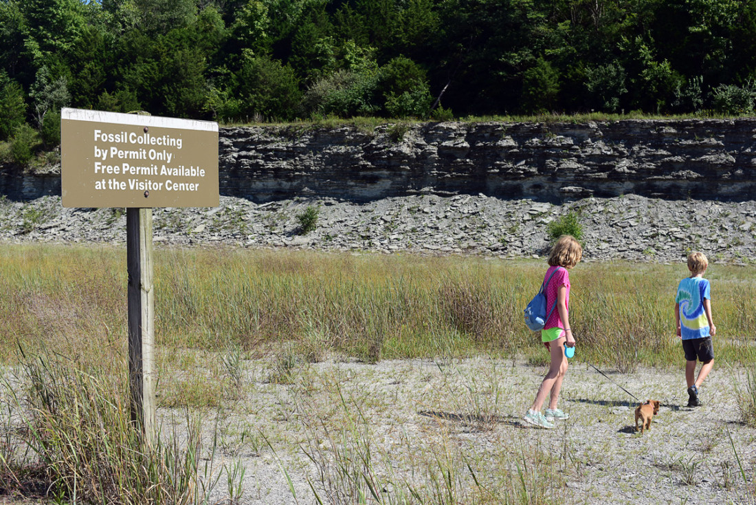 Caesar Creek State Park; Discover Ohio's most fertile fossil field