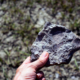 Caesar Creek State Park; Discover Ohio's most fertile fossil field