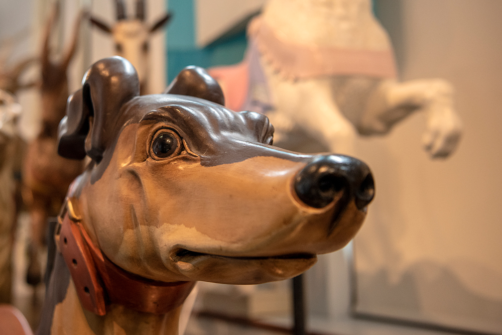 Merry-Go-Round Museum: There’s motion in this Sandusky menagerie