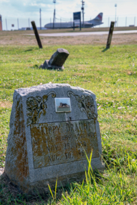 Brown Pet Cemetery: Final resting place for animal pals is a doggone gem