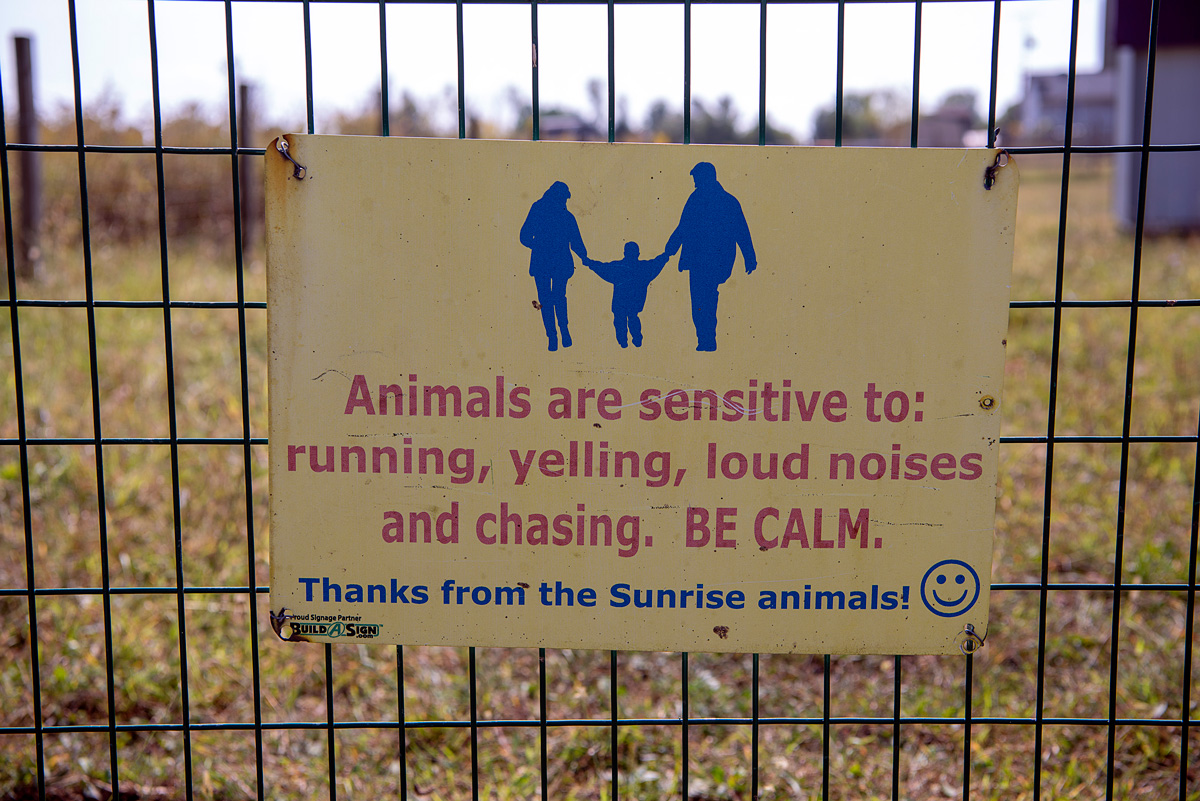 Sunrise Sanctuary: Hit it off with a hog at this refuge for neglected farm animals in Marysville