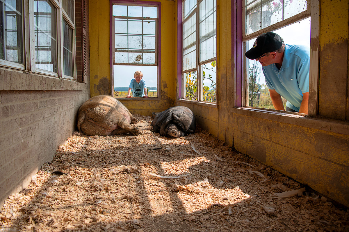 Sunrise Sanctuary: Hit it off with a hog at this refuge for neglected farm animals in Marysville