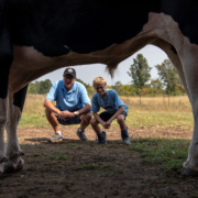 Sunrise Sanctuary: Hit it off with a hog at this refuge for neglected farm animals in Marysville