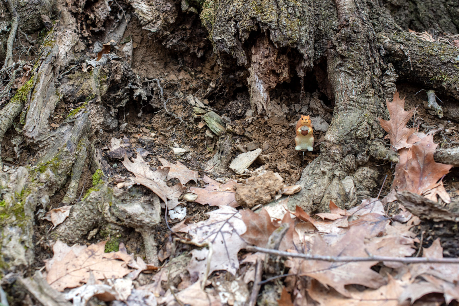 Seek and find on Walhalla by Wendy Pramik